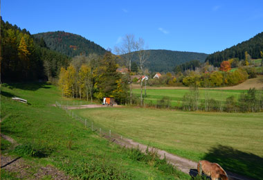 Sich wohl fühlen in der Untere Mühle